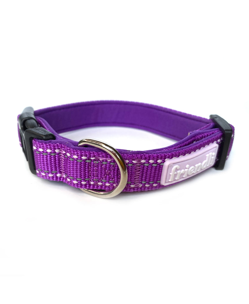 Grape Nylon Dog Collar