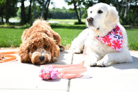 Floral Neoprene Dog Waste Bag Holder