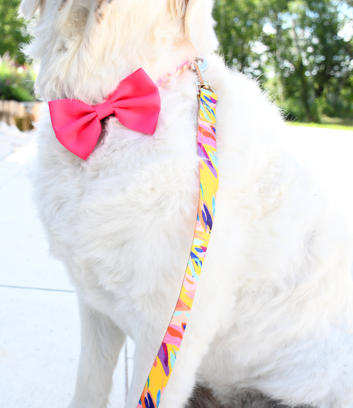 Pink Neoprene Dog Leash, 5ft