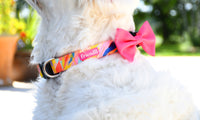 Hot Pink Dog Bow Tie, 1ct