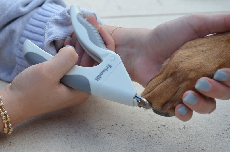 Guillotine Nail Clipper