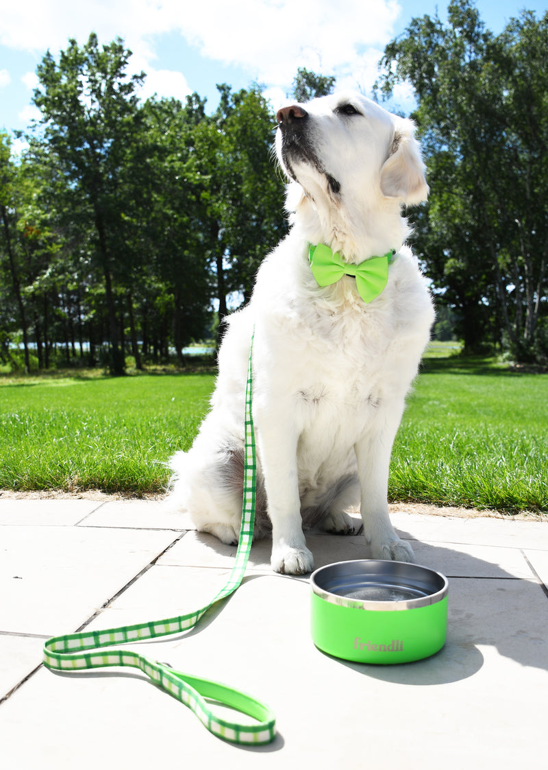 Green Dog Bow Tie, 1ct