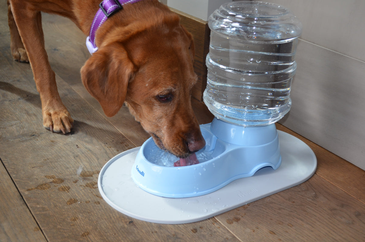 Dog Gravity Water Feeder, 3.8 L
