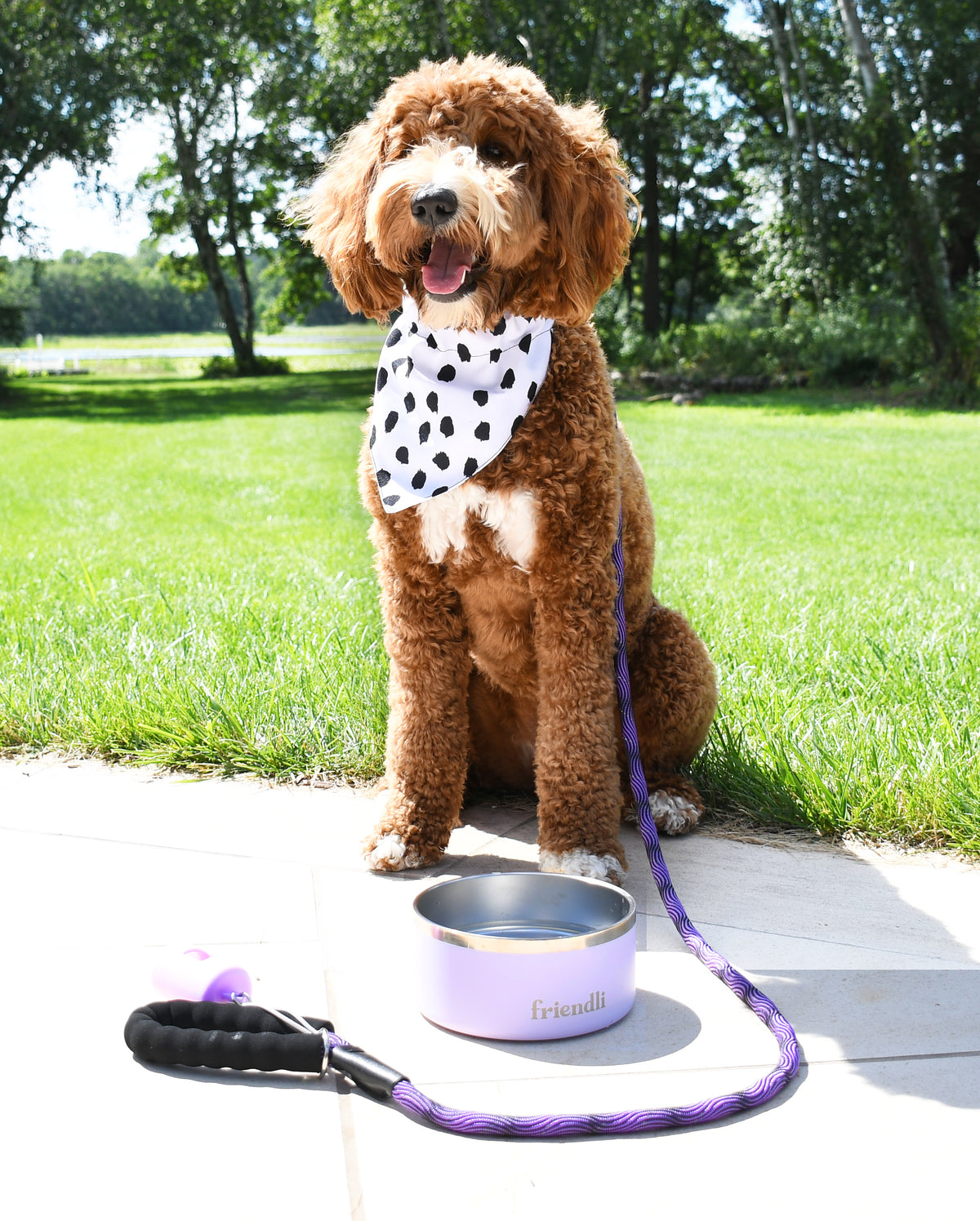 White Dog Bandana, 1ct