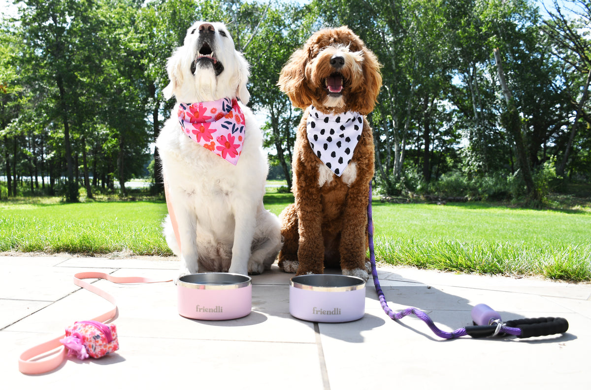 White Dog Bandana, 1ct