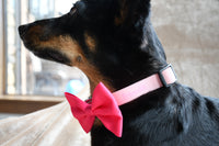 Hot Pink Dog Bow Tie, 1ct