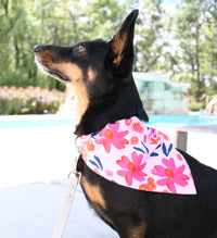 Floral Dog Bandana, 1ct