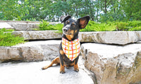 Yellow Dog Bandana, 1ct