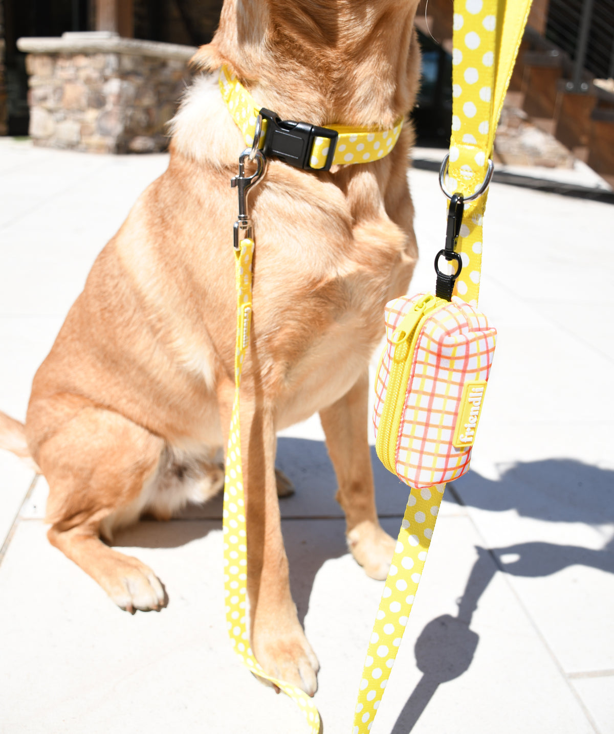 Yellow Neoprene Dog Leash, 5ft