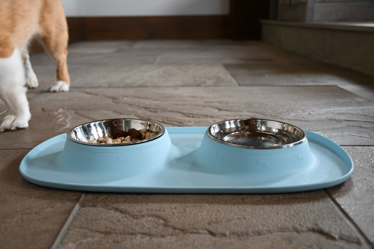 Pet Double Food Stainless Steel Bowl Silicone Mat