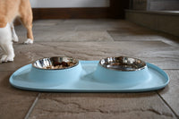 Pet Double Food Stainless Steel Bowl Silicone Mat