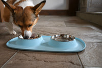 Pet Double Food Stainless Steel Bowl Silicone Mat