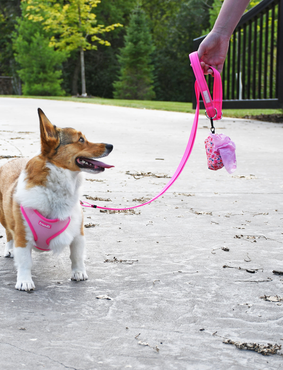 Hot Pink Nylon Dog Leash, 4-6ft