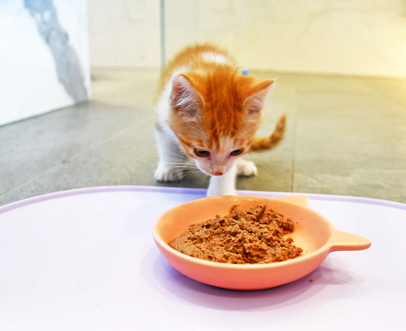 Cat Ceramic Food Dish