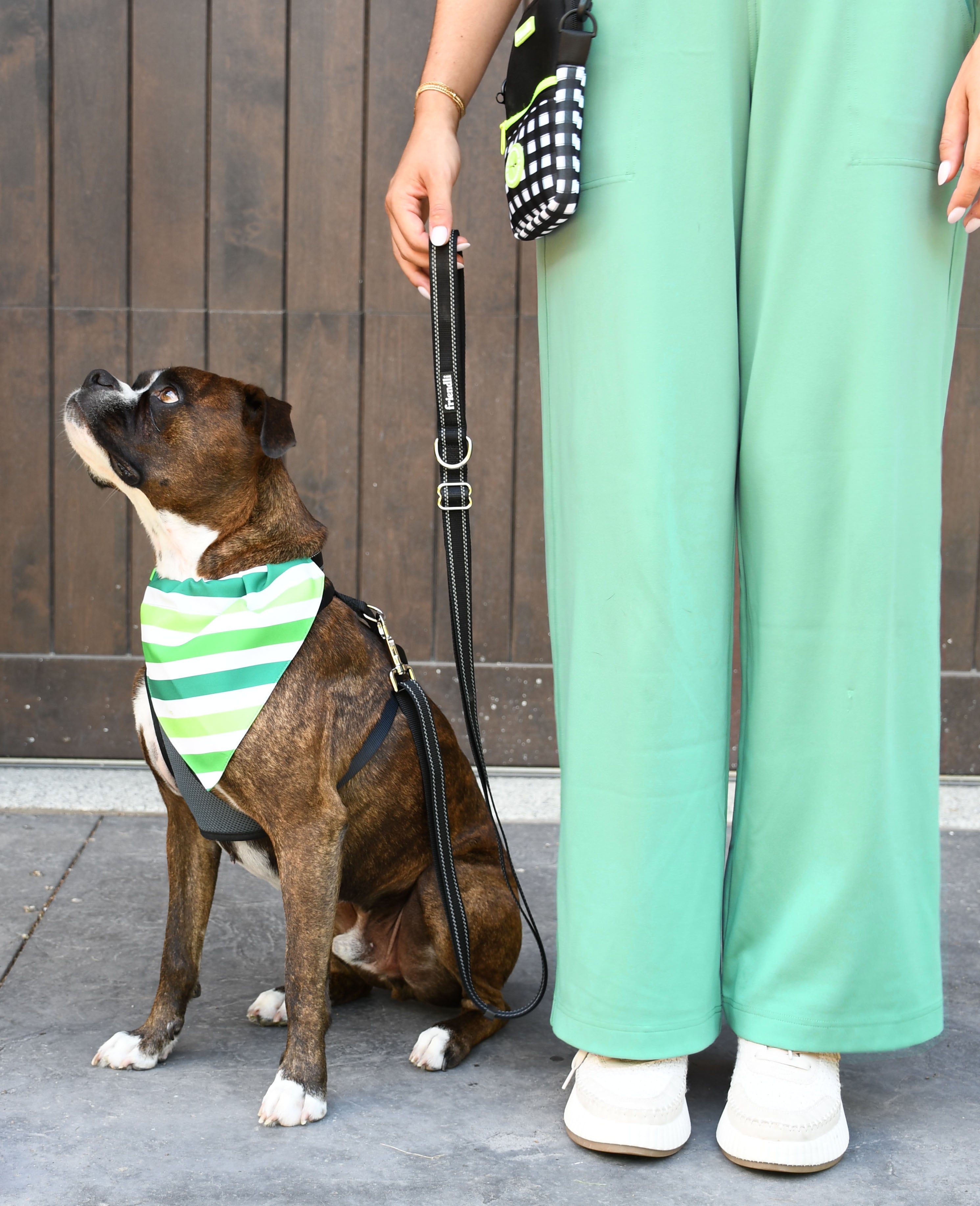 Green dog bandana hotsell