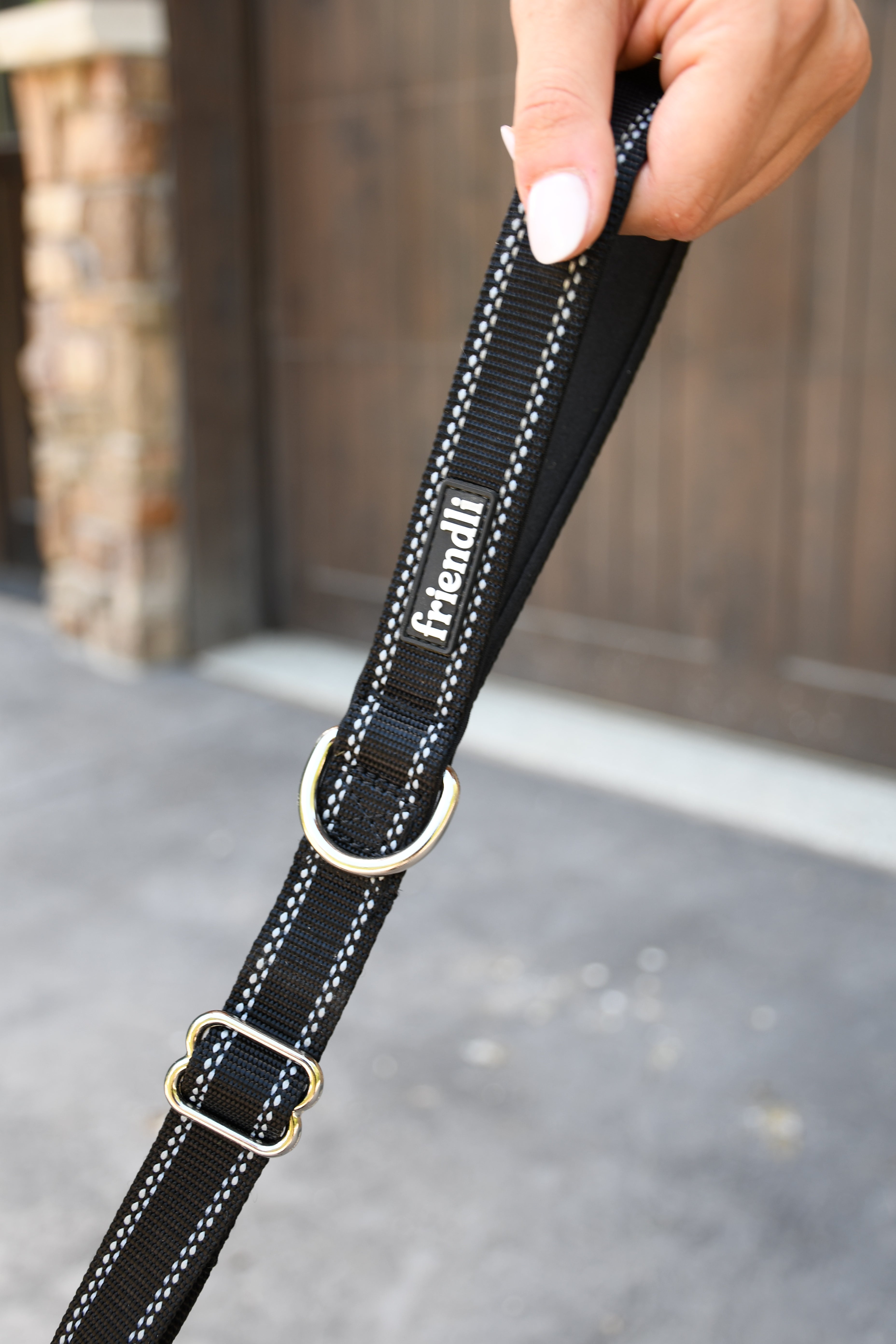 Midnight Black Nylon Dog Leash, 4-6ft – friendlipet.com