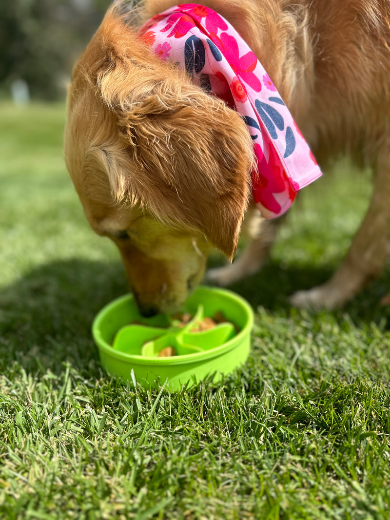 Lime Green Silicone Slow Feed Dog Bowl