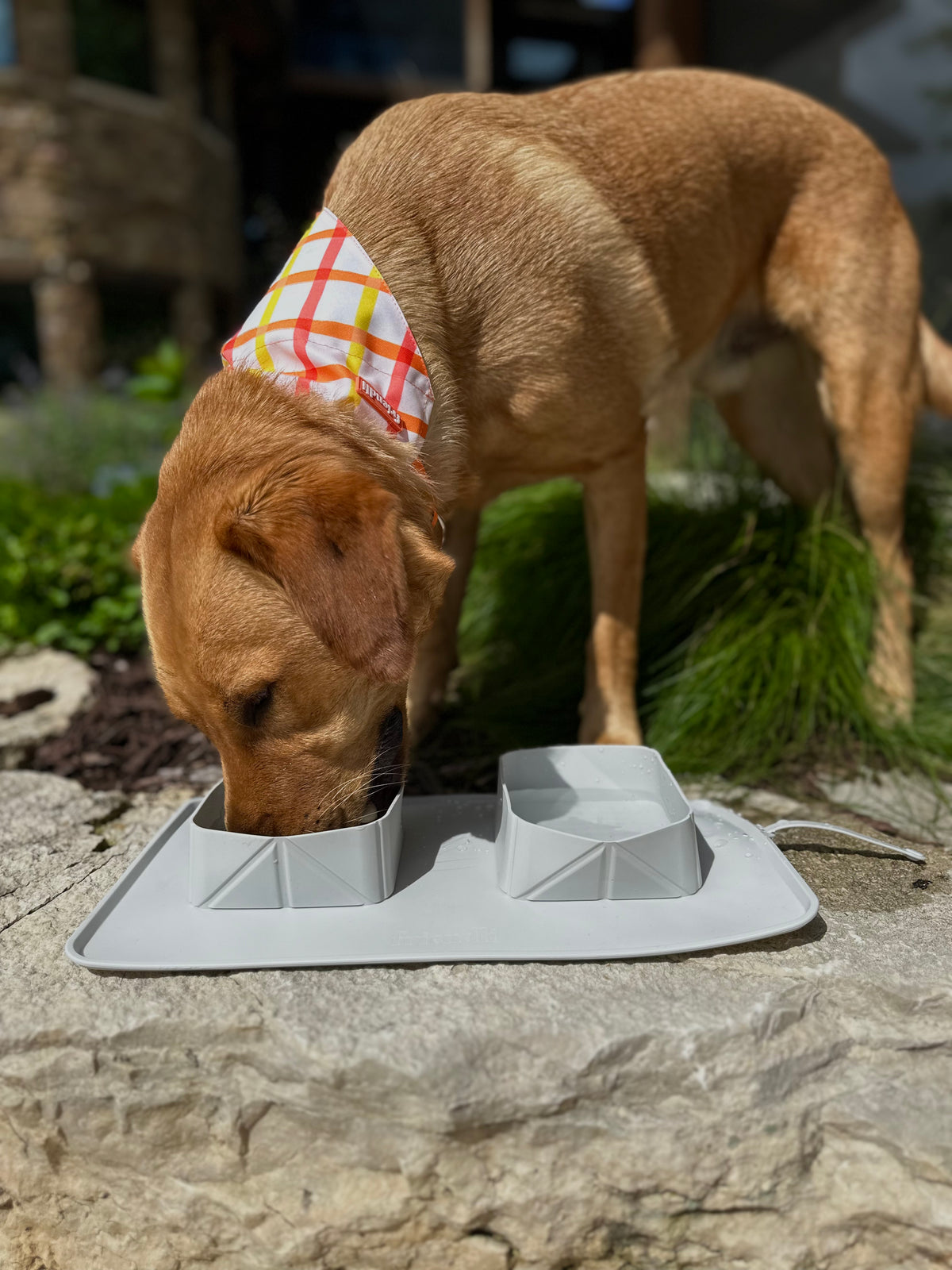 Dog Silicone Portable Travel Food Mat