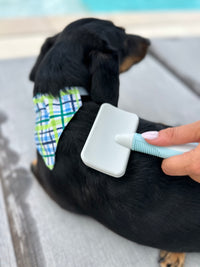 Beginner Grooming Tool Kit for Dogs