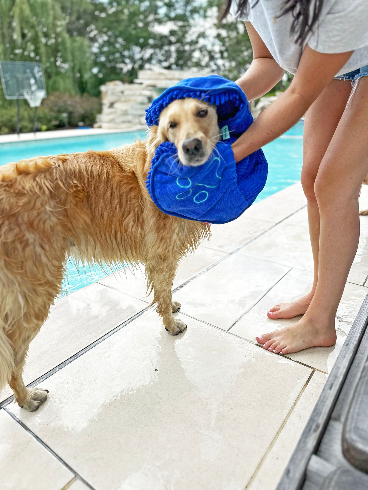 Dog Shammy Towel