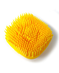 Shampoo Dispensing Grooming Brush